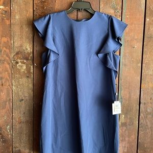 NWT Flutter sleeve blue dress